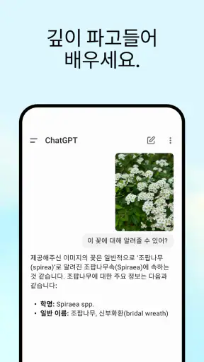 ChatGPT screenshot