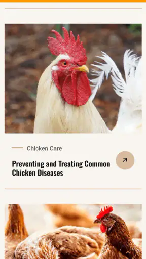 Chicken Road screenshot