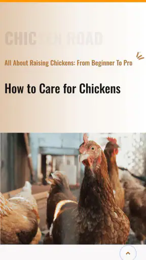 Chicken Road screenshot