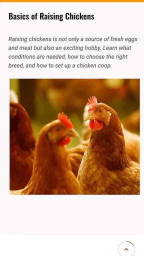Chicken Road screenshot