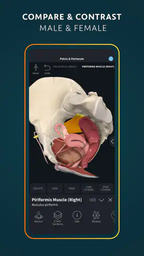 Complete Anatomy screenshot