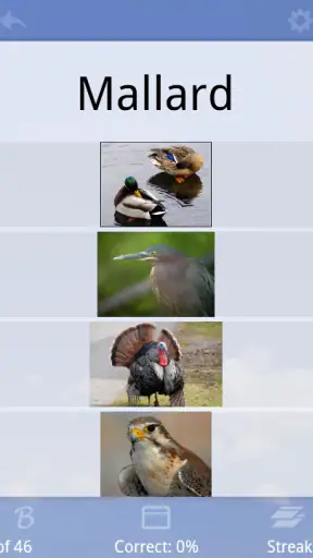 Flashcards Deluxe screenshot