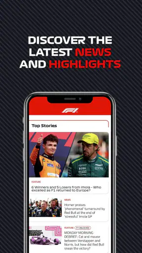 Formula 1® screenshot