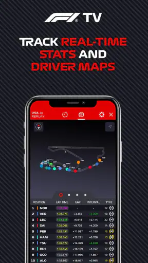 Formula 1® screenshot