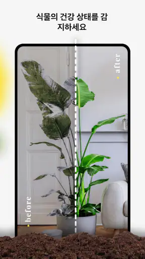 Garden Genie: 식물 식별자 screenshot
