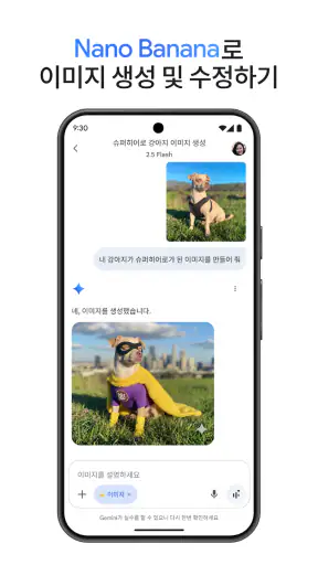 Google Gemini screenshot