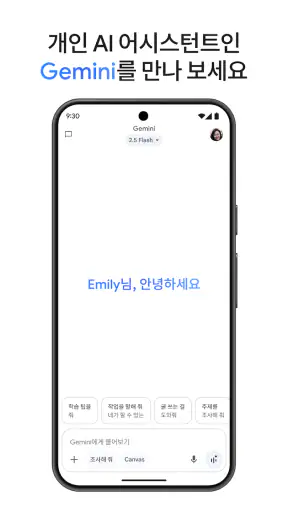 Google Gemini screenshot
