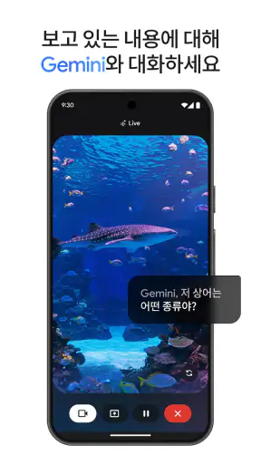 Google Gemini screenshot