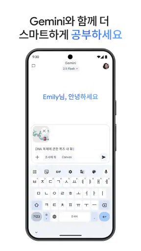 Google Gemini screenshot