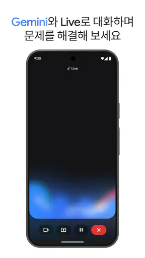 Google Gemini screenshot