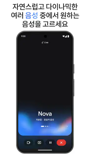 Google Gemini screenshot