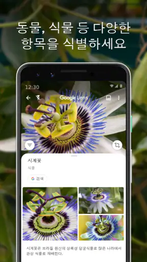 Google 렌즈 screenshot