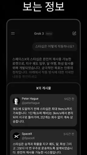 Grok AI screenshot