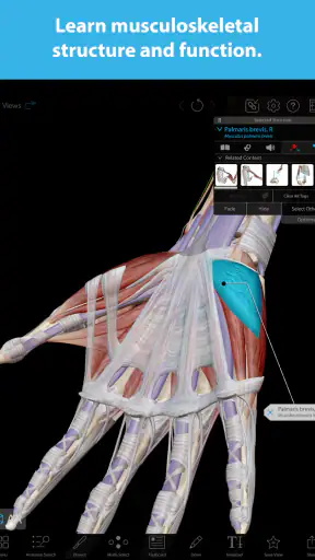 Human Anatomy Atlas 2025 screenshot