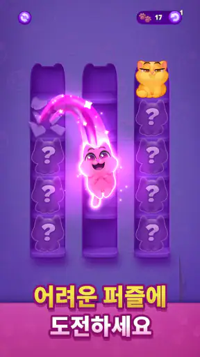 Kitty Sort: Twisted Tails screenshot