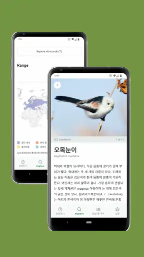 Merlin Bird ID by Cornell Lab screenshot