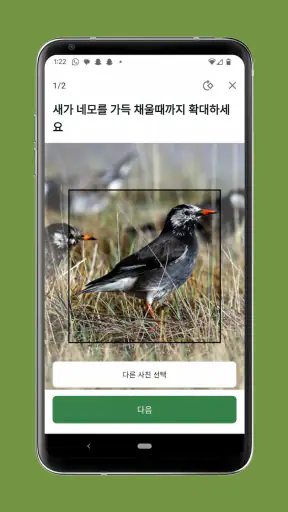 Merlin Bird ID by Cornell Lab screenshot