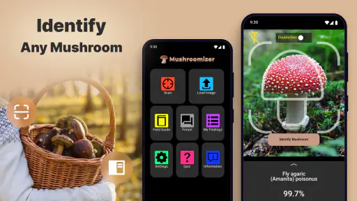Mushroom Identification screenshot