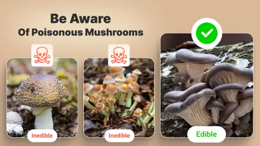 Mushroom Identification screenshot