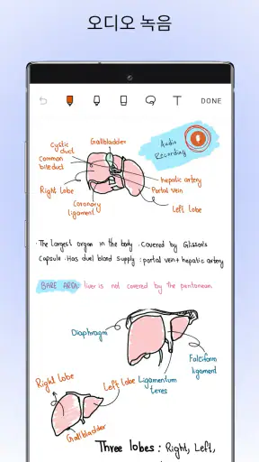 Noteshelf - 메모, 주석 screenshot