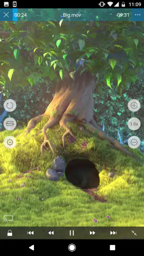nPlayer screenshot