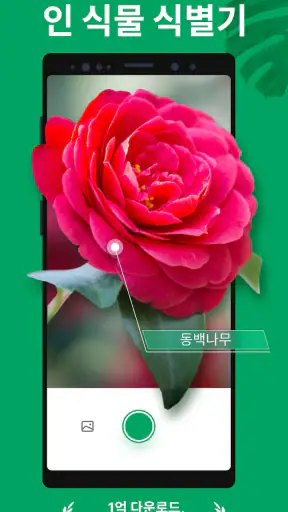 PictureThis - 꽃 & 식물 찾기 screenshot