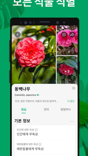 PictureThis - 꽃 & 식물 찾기 screenshot