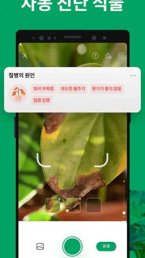 PictureThis - 꽃 & 식물 찾기 screenshot