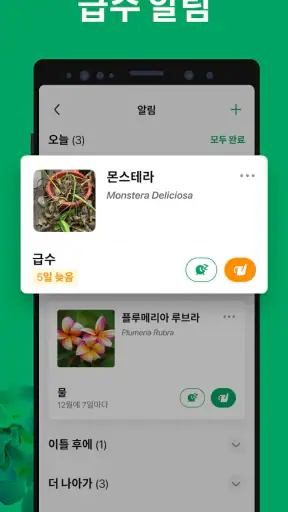 PictureThis - 꽃 & 식물 찾기 screenshot