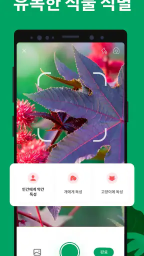 PictureThis - 꽃 & 식물 찾기 screenshot