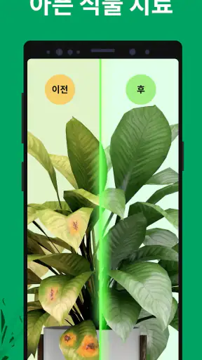 PictureThis - 꽃 & 식물 찾기 screenshot