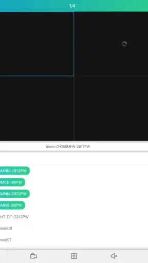 RXCamView screenshot