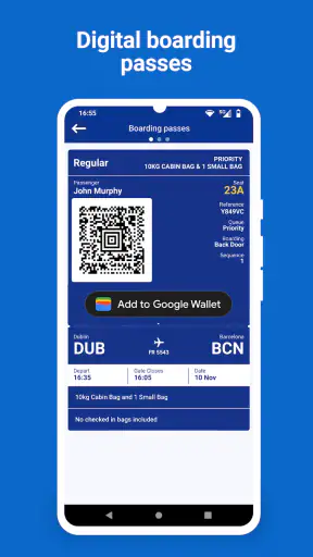 Ryanair screenshot