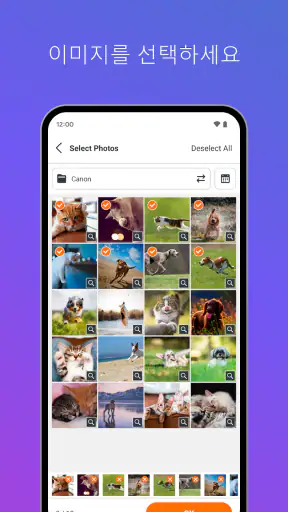 SELPHY Photo Layout screenshot