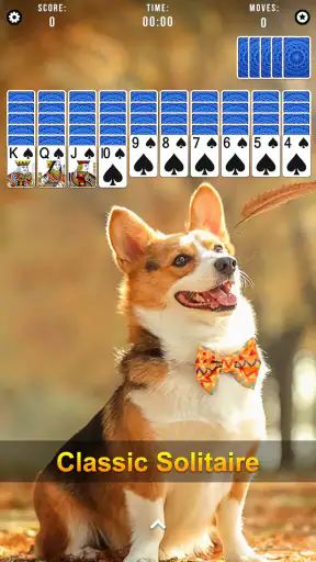 Spider Solitaire screenshot