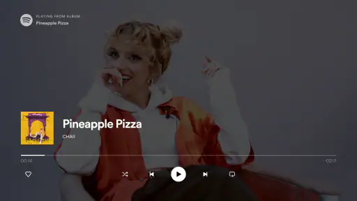 Spotify (스포티파이) screenshot