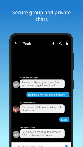 VidyoConnect screenshot