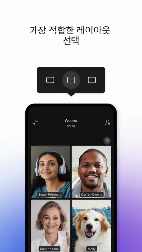 Webex screenshot