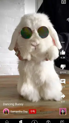 YouTube screenshot