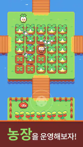 곡괭이 왕 아일랜드 screenshot