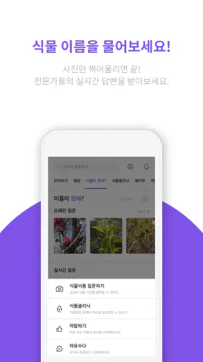 모야모 (식물 식별, 병충해 진단) screenshot