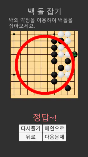 바둑배우기 (문제집) screenshot