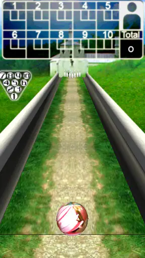 볼링 3D Bowling screenshot