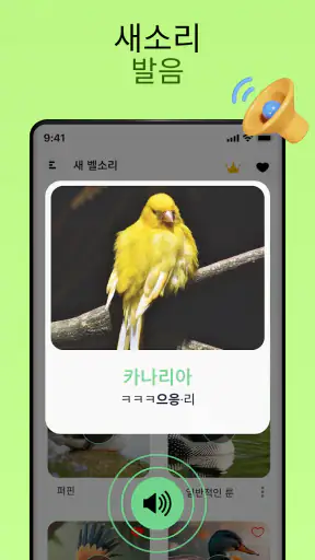 새소리 screenshot