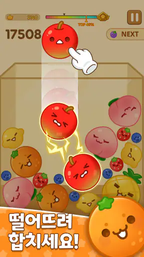 수박 퍼즐 : 드롭 매치 screenshot
