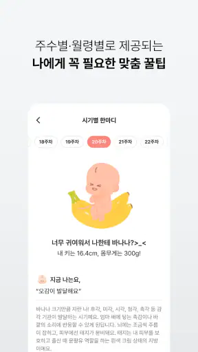 스마일리더 - 배란일 계산, 임신, 육아일기 screenshot