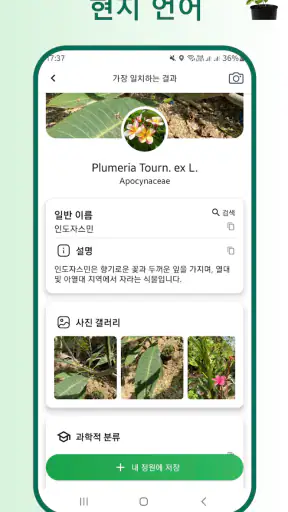 식물 식별자 screenshot