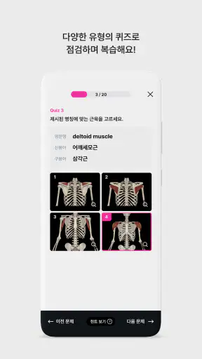 아나토미마스터 - 이파마스터가 만든 해부학 암기앱 screenshot