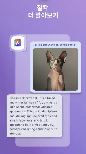 인공 지능이 탑재된 Opera의 비공개 브라우저 screenshot