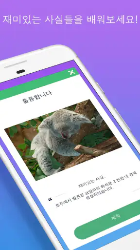 일반 상식 퀴즈 screenshot